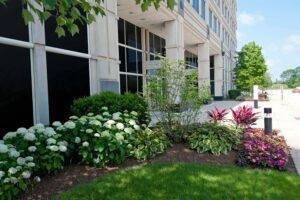 Commercial Landscaping Services For Schaumburg, IL