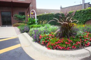 Naperville, IL Commercial Landscaping Services