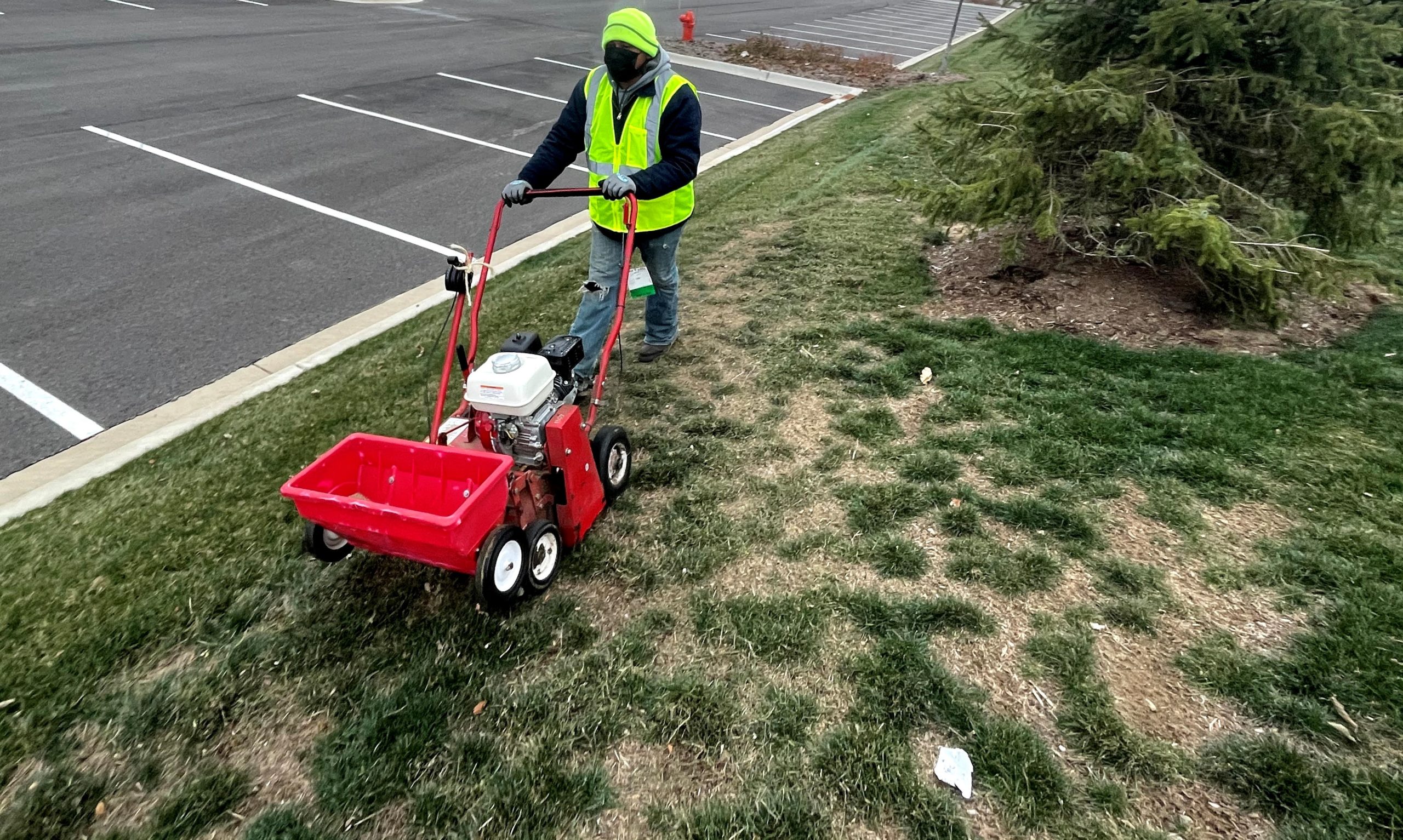Slit-seeding with a special machine helps repair lawns