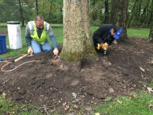 st-charles-il-plant-health-care