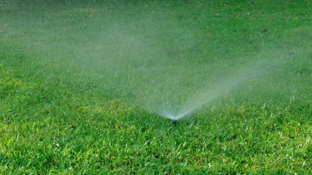 How to Properly Water Grass Seed and New Sod