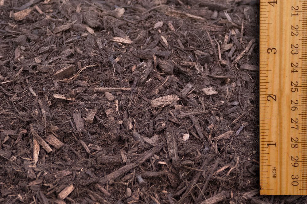 Extreme close-up of dark brown, double-ground shredded hardwood mulch. A wooden ruler is placed vertically on the right side of the image, showing the mulch pieces are primarily 1 to 3 inches in length.